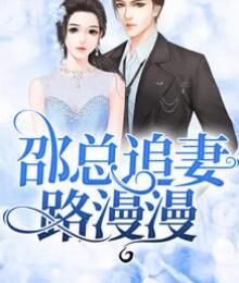 邵总追妻路漫漫封面