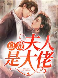 白苓傅琛强推小说封面