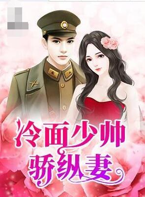 冷面少帅骄纵妻封面