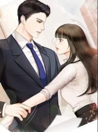 商界大佬追妻忙封面