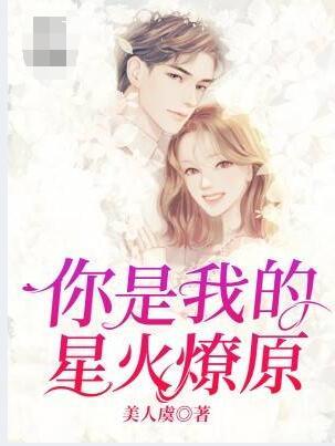 你是我的星火燎原免费阅读封面