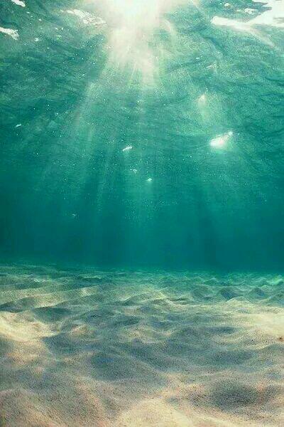 孟晚棠裴知聿封面