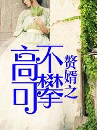 宸鹤沈云念小说封面