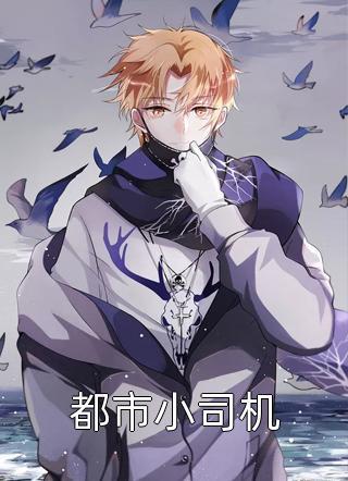 八零年代小佳妻封面