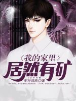 我的家里居然有矿封面