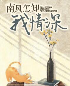 南风怎知我情深封面