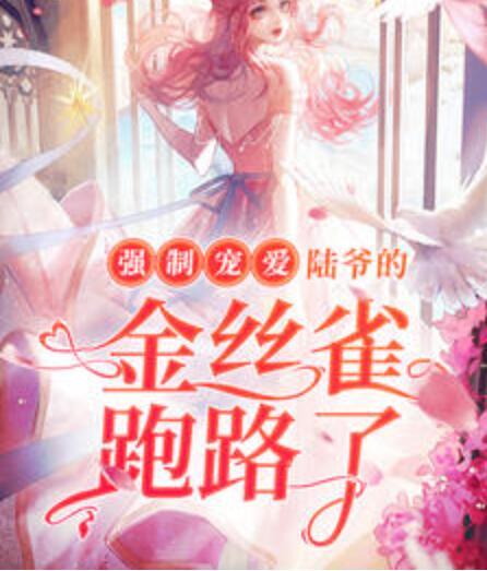 强制宠爱：陆爷的金丝雀跑路了封面