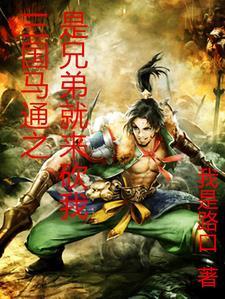 三国马通之是兄弟就来砍我封面