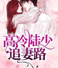 高冷陆少追妻路封面