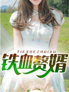 铁血赘婿封面