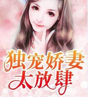 独宠娇妻太放肆封面