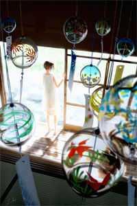 女主凤倾九重素婉小说封面