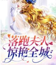 顾倾城京澜辰全文免费封面