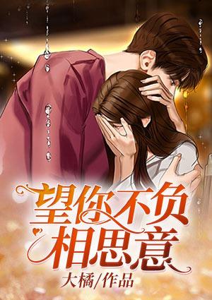 望你不负相思意封面