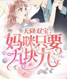 天降双宝：妈咪只要九块九封面