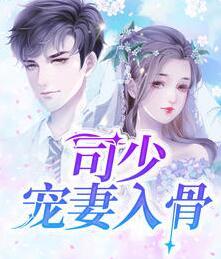 年寻夏司瑾丞封面