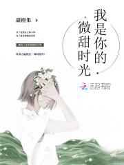 苏芊芊陆闻年封面