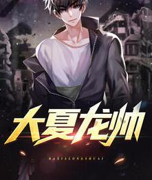 大夏龙帅封面
